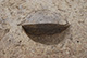 FileNo.171-158.jpg