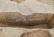 FileNo.171-168.jpg