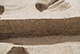 FileNo.171-171.jpg