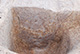 FileNo.171-173.jpg
