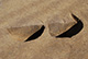FileNo.171-174.jpg
