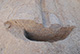 FileNo.171-178.jpg