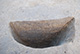 FileNo.171-181.jpg