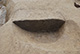 FileNo.171-233.jpg