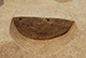 FileNo.171-234.jpg
