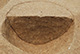 FileNo.171-236.jpg