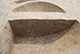 FileNo.171-238.jpg