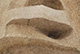 FileNo.171-248.jpg