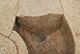 FileNo.171-254.jpg