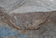 FileNo.171-259.jpg