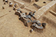 FileNo.171-260.jpg