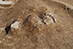 FileNo.171-261.jpg
