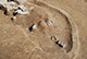 FileNo.171-262.jpg
