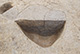 FileNo.171-280.jpg
