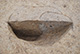 FileNo.171-282.jpg