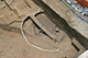 FileNo.171-297.jpg