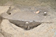 FileNo.171-299.jpg