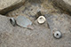 FileNo.171-300.jpg