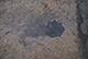 FileNo.171-317.jpg