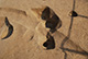 FileNo.171-319.jpg