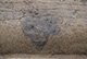 FileNo.171-321.jpg