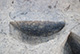 FileNo.171-324.jpg