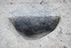 FileNo.171-325.jpg