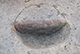 FileNo.171-328.jpg