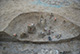 FileNo.171-333.jpg