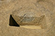 FileNo.171-350.jpg