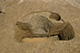 FileNo.171-351.jpg