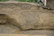 FileNo.171-356.jpg