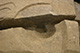 FileNo.171-360.jpg
