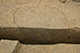 FileNo.171-364.jpg