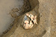 FileNo.171-383.jpg