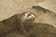 FileNo.171-384.jpg