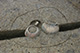 FileNo.171-394.jpg