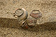 FileNo.171-395.jpg
