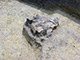 FileNo.171-404.jpg