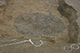 FileNo.171-409.jpg