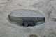 FileNo.171-411.jpg
