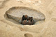FileNo.171-413.jpg