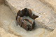 FileNo.171-414.jpg