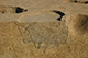 FileNo.171-420.jpg