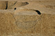 FileNo.171-421.jpg