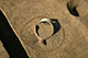 FileNo.171-427.jpg