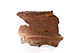 FileNo.171-752.jpg