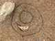 FileNo.173-032.jpg