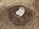 FileNo.173-033.jpg