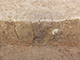 FileNo.173-034.jpg